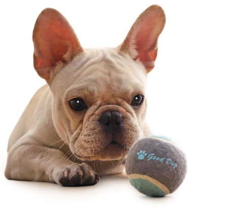 Купить Xiaomi Youpin Little Beast Star Dog (XT32-5001)