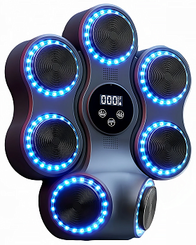 Купить SUNTEK Music Boxing Machine (MB12)