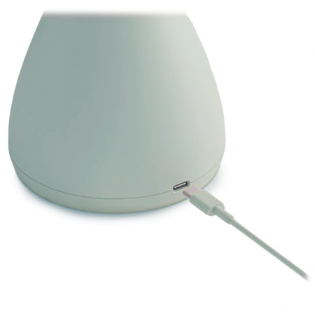 Купить Xiaomi Sothing Bridal Bouquet Desktop Fan Green (DSHJ-S-2113)