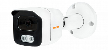 Купить CARCAM CAM-8662P