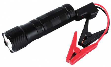 Купить CARCAM Flashlight Jump Starter 12000mAh FJS-1201