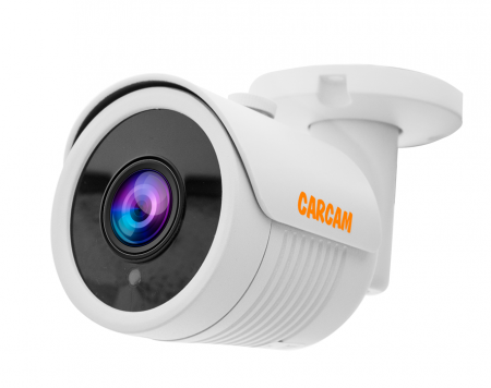 Купить Муляж CARCAM CAM-592