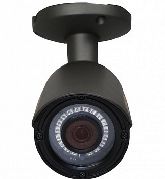 Купить Муляж CARCAM CAM-802