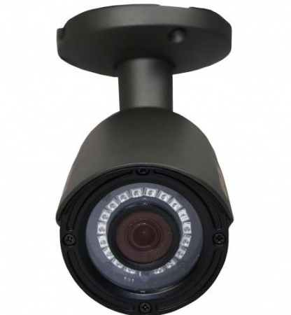 Купить Муляж CARCAM CAM-802