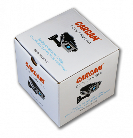 Купить CARCAM CAM-3889P
