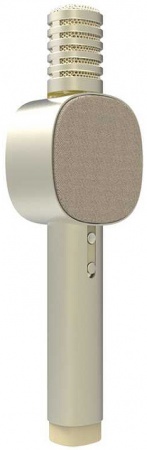 Купить Xiaomi Otaru HoHo Sound Mic A3 Gold