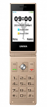 Купить UNIWA X28 Gold