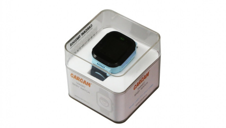 Купить CARCAM GW500S (голубые)