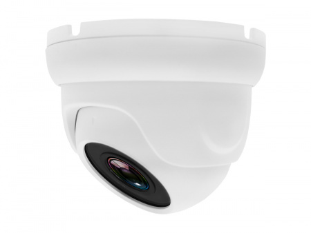 Купить CARCAM CAM-2889P