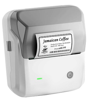 Купить NIIMBOT Label Printer B31 Gray