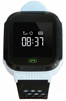 Купить CARCAM GW500S (голубые)