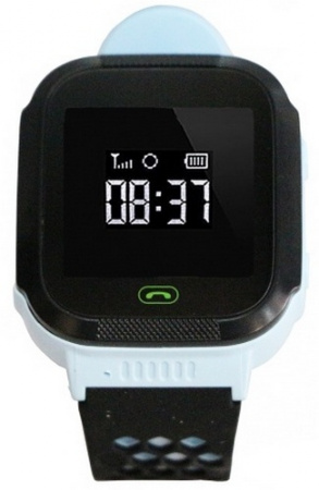 Купить CARCAM GW500S (голубые)