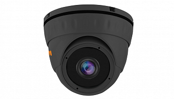 Купить Муляж CARCAM CAM-715