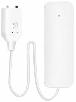 Купить CARCAM Tuya Wi-Fi Water Leakage Sensor 898WT