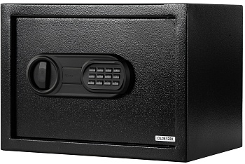 Купить CARCAM Electronic Safe Box (XM25EIS)