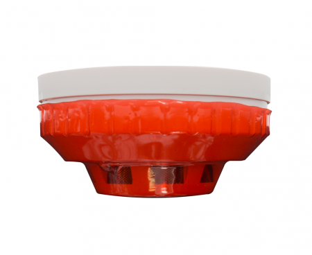 Купить CARCAM TD-002