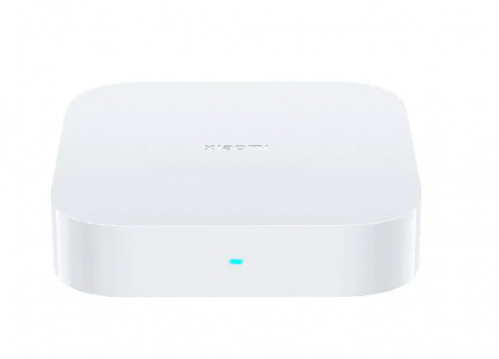 Купить Xiaomi Smart Home Hub 2 (ZNDMWG04LM) Global