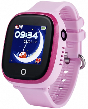 Купить CARCAM GW400X Pink