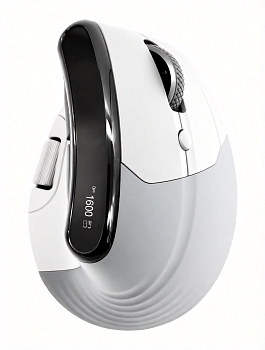Купить Saiggi Wireless Vertical Mouse (TM-023) White