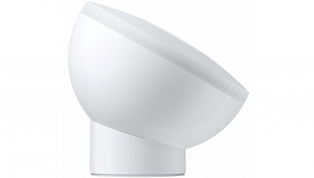 Купить Xiaomi Mijia Mi Light 2 (MJYD02YL)