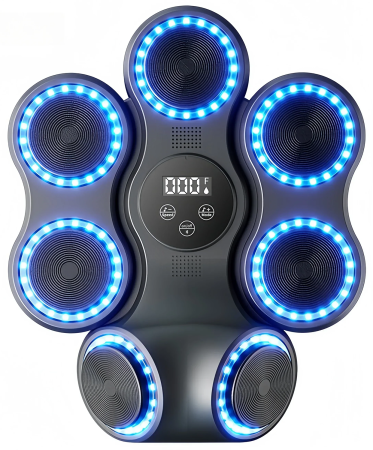 Купить SUNTEK Music Boxing Machine (MB12)
