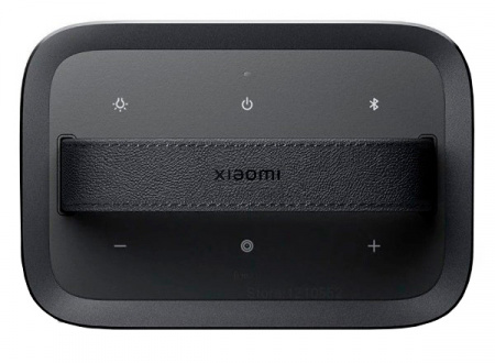 Купить Xiaomi Outdoor Bluetooth Speaker (ASM06A) Black