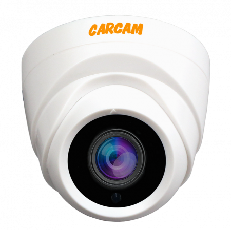 Купить Муляж CARCAM CAM-725