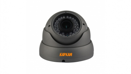 Купить Муляж CARCAM КАМ-2885PSD