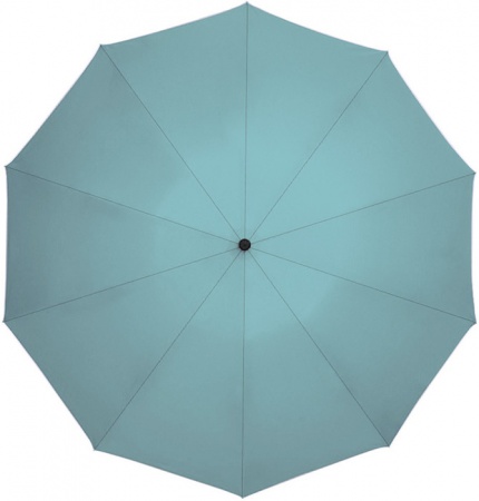 Купить Xiaomi Zuodu Full Automatic Umbrella Normal Size Green 
