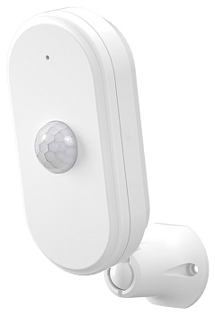 Купить CARCAM Wireless Motion Sensor 809W