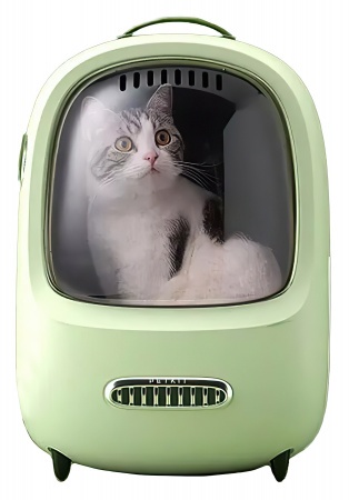 Купить Xiaomi Fresh Wind Cat Backpack Green (P7701)