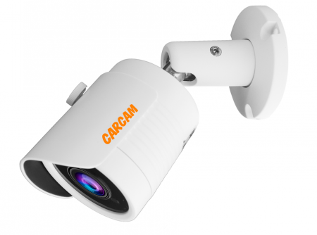 Купить Муляж CARCAM CAM-592