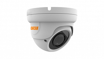 Купить CARCAM 2MP Dome IP Camera 2076 (2.8-12mm)