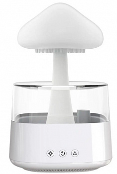 Купить Max Line Aroma Diffuser Rain Cloud Humidifier J026E White