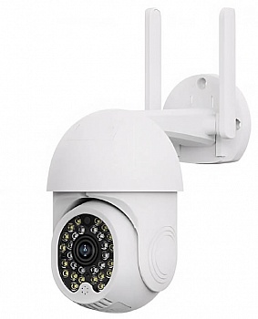 Купить Xiaomi Xiaovv PTZ Camera P12 (XVV-3630S-P12)