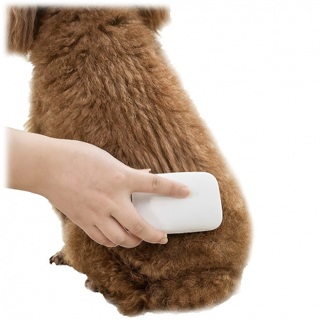 Купить Xiaomi PE019