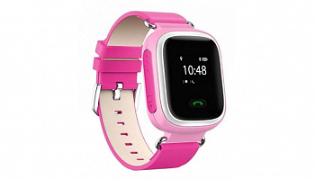 Купить CARCAM GW900S Pink