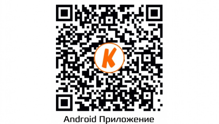 Купить CARCAM CAM-1891P