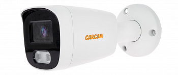 Купить CARCAM CAM-2693P