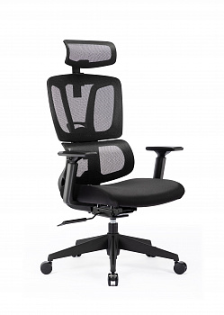 Купить Xiaomi Ergonomic Office Chair (XMC1130E) Black