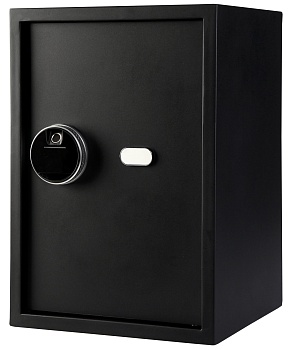 Купить CARCAM Smart Fingerprint Safe Box (XM50FDE)
