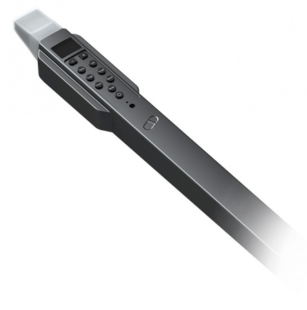 Купить Xiaomi Electronic Wind Instrument DC02