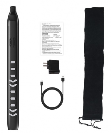 Купить Xiaomi Electronic Wind Instrument DC06