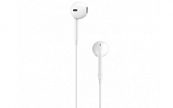 Купить Гарнитура EarDods Lightning