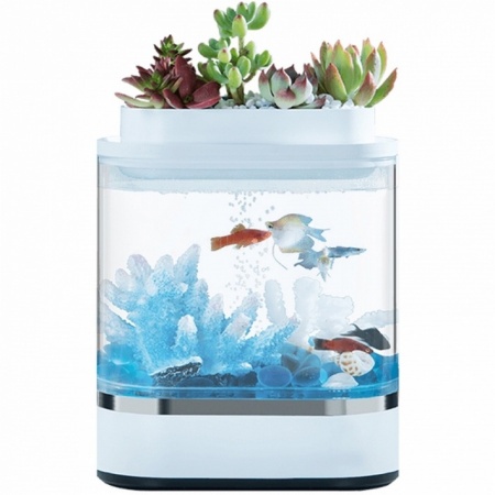 Купить Xiaomi Descriptive Geometry Mini Lazy Fish Tank (HF-JHYG 005)