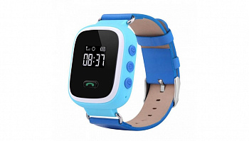 Купить CARCAM GW900S Blue