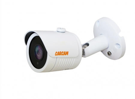 Купить Муляж CARCAM CAM-2892P