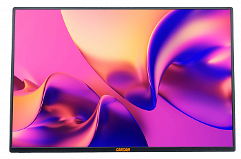 Купить CARCAM 16'' IPS 1080P 60Hz Portable Monitor Type-C*2 miniHDMI for PC Laptop Phone (CCL160FA)