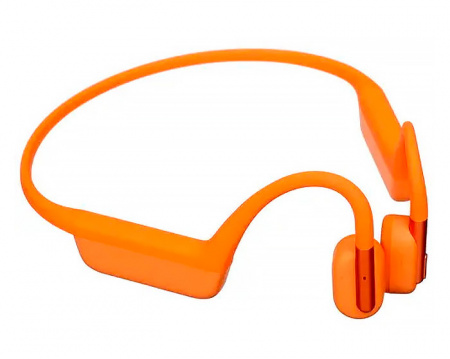 Купить Xiaomi Earphones Explore (GCDEJ01LS) Orange