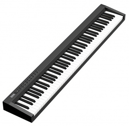 Купить Xiaomi Portable Electronic Piano (PH88C) Black